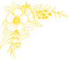 Blume